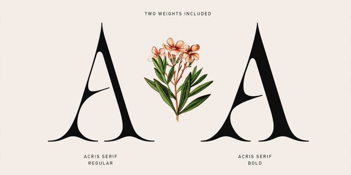 Acris Font Family free download preview 1 – Serif Fonts font