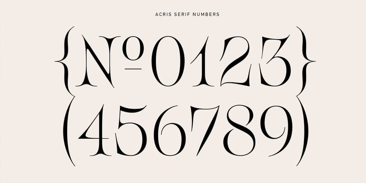 Acris Font Family free download preview 2 – Serif Fonts font