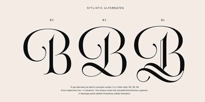 Acris Font Family free download preview 3 – Serif Fonts font
