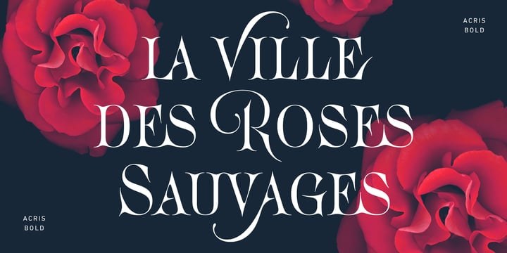Acris Font Family free download preview 6 – Serif Fonts font