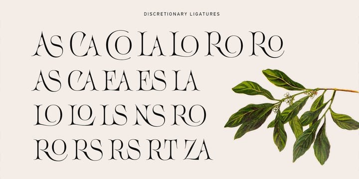 Acris Font Family free download preview 8 – Serif Fonts font