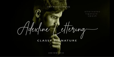 Adexline Lettering Font free download – Font Family font preview