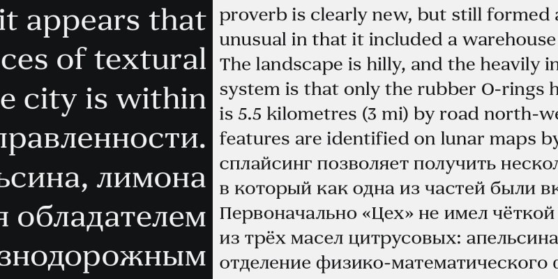 Alarionsa Serif Font Family free download preview 5 – Serif Fonts font