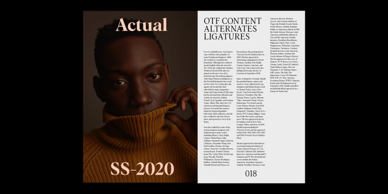 Albra Font free download preview 4 – Serif Fonts font