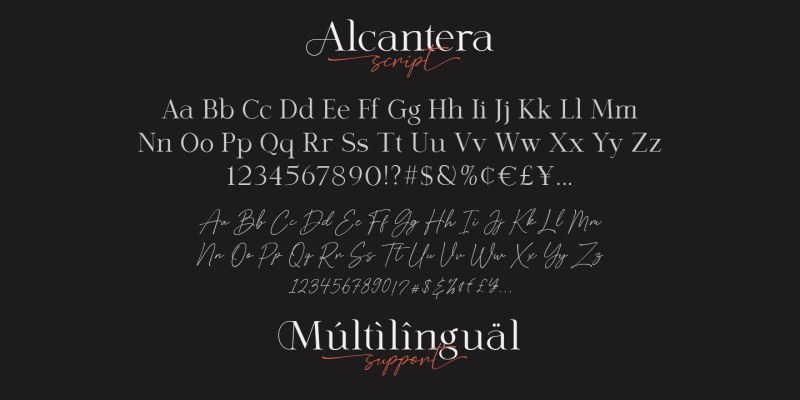 Alcantera Font Duo free download preview 6 – Serif Fonts font