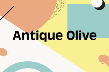 Antique Olive Font free download – Sans Serif font preview