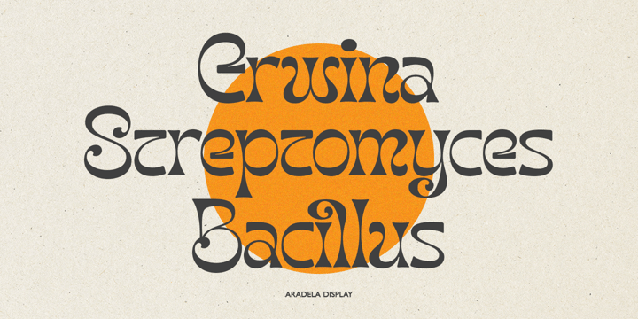 Aradela Display Font free download preview 6 – Display Fonts font