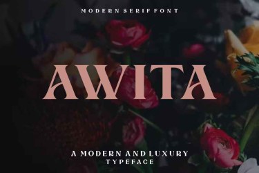 Awita Modern Serif Font free download – Branding font preview