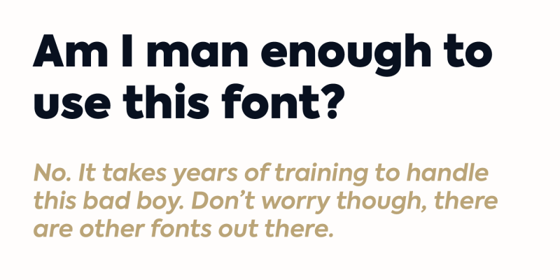 Axiforma Font free download preview 6 – Sans Serif Fonts font