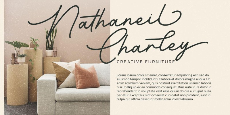 Barethelly Signature Font free download preview 8 – Script And Handwritten font