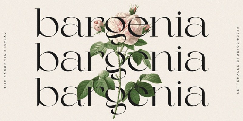 Bargenia Font Family free download preview 1 – Display Fonts font