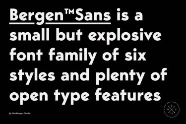 Bergen Sans Font free download – Serif Fonts font preview