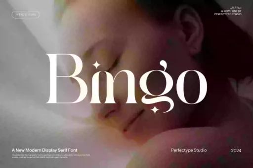 Bingo Font free download – Serif Fonts font preview image for Windows and Mac