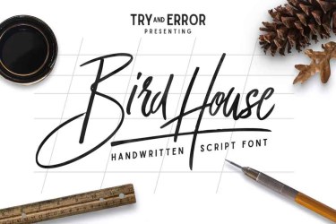 Bird House Script Font free download – Script And Handwritten font preview