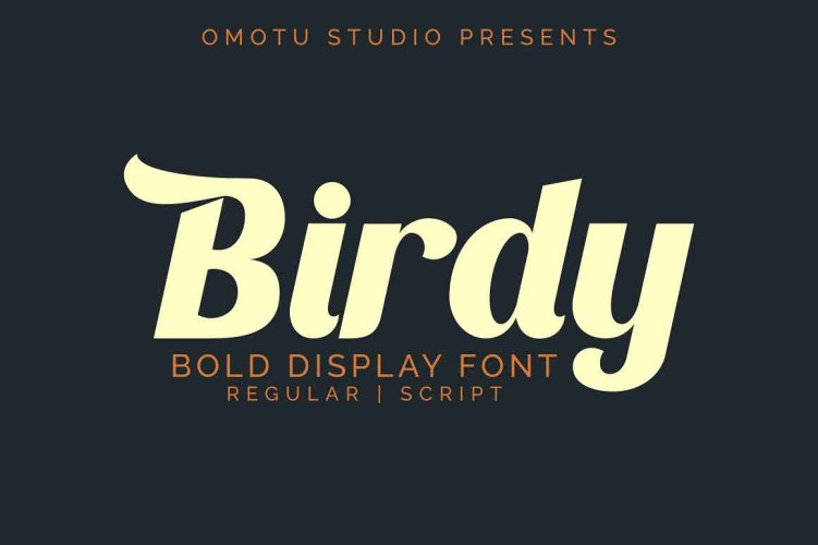 Birdy Font free download preview 5 – Script And Handwritten font