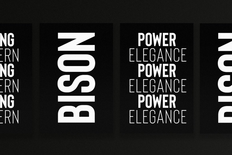 Bison Font free download preview 3 – Sans Serif Fonts font