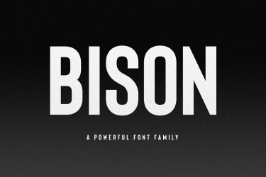 Bison Font free download – Bold font preview