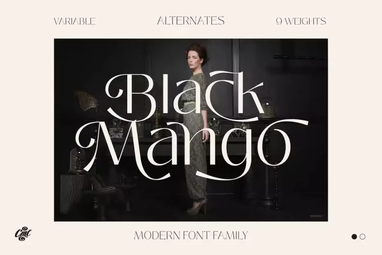 Black Mango Font preview 8 – Serif Fonts font sample