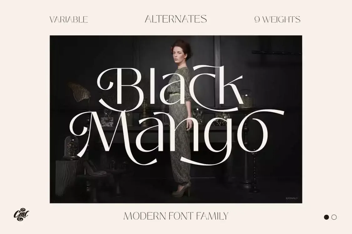 Black Mango Font free download – Serif Fonts font preview image for Windows and Mac