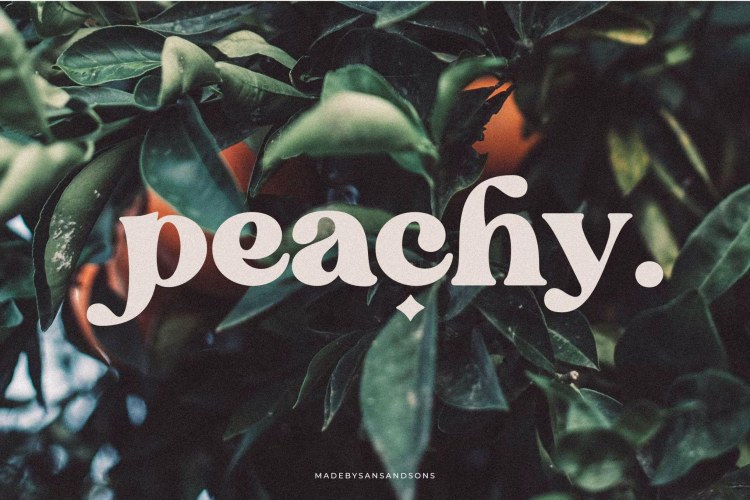 Blanch Sage Font free download preview 1 – Serif Fonts font