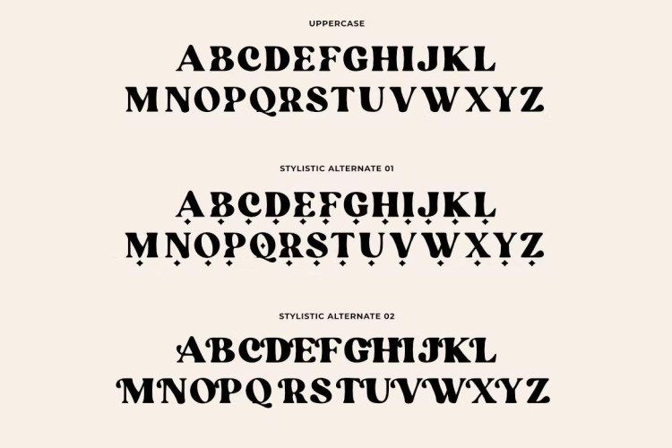 Blanch Sage Font free download preview 2 – Serif Fonts font