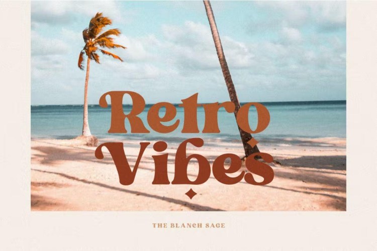 Blanch Sage Font free download preview 5 – Serif Fonts font