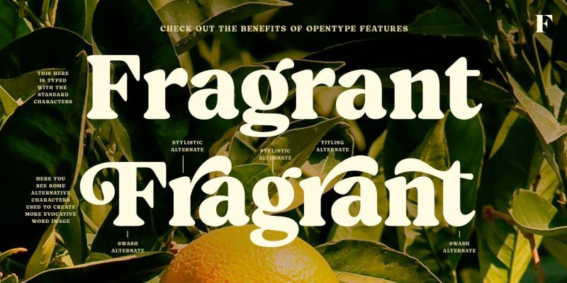 Blood Orange Font free download preview 2 – Serif Fonts font