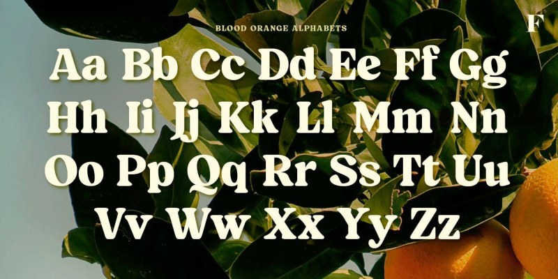 Blood Orange Font free download preview 5 – Serif Fonts font