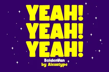 BoldenVan Chubby Children Font free download – Serif Fonts font preview