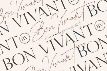 Bon Vivant Font free download – Script And Handwritten font preview