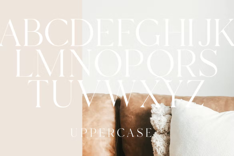 Branch Font free download preview 1 – Serif Fonts font