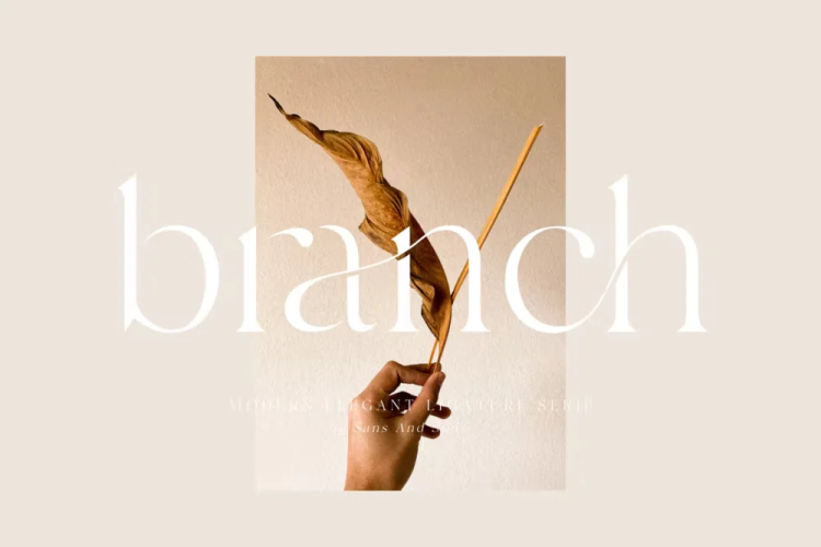 Branch Font free download preview 6 – Serif Fonts font