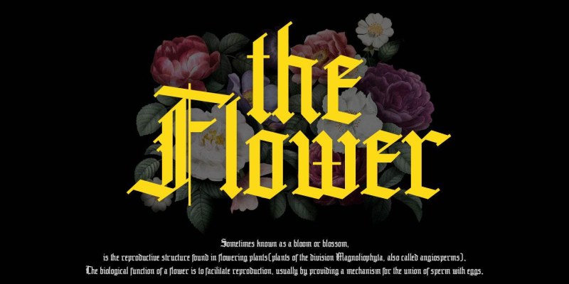 Brandice Font free download preview 2 – Typeface font