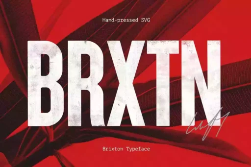 Brixton Font free download – Sans Serif Fonts font preview image for Windows and Mac