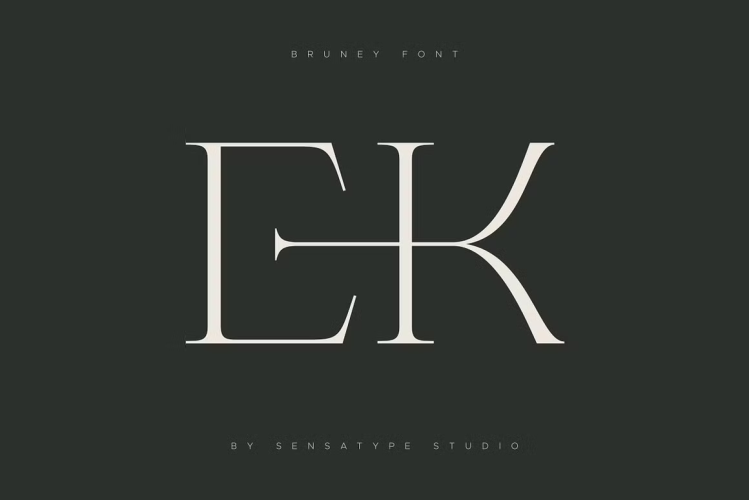 Bruney Font free download preview 5 – Serif Fonts font