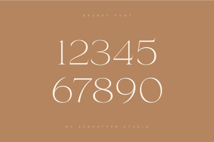 Bruney Font free download preview 8 – Serif Fonts font