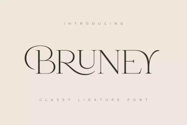 Bruney Font free download – Elegant font preview