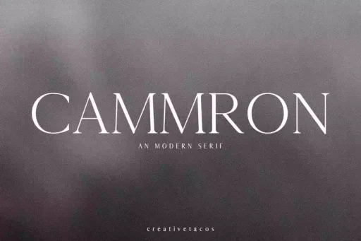 Cammron Font free download – Serif Fonts font preview image for Windows and Mac