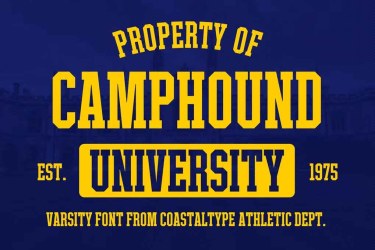 Camphound Font free download – Display font preview