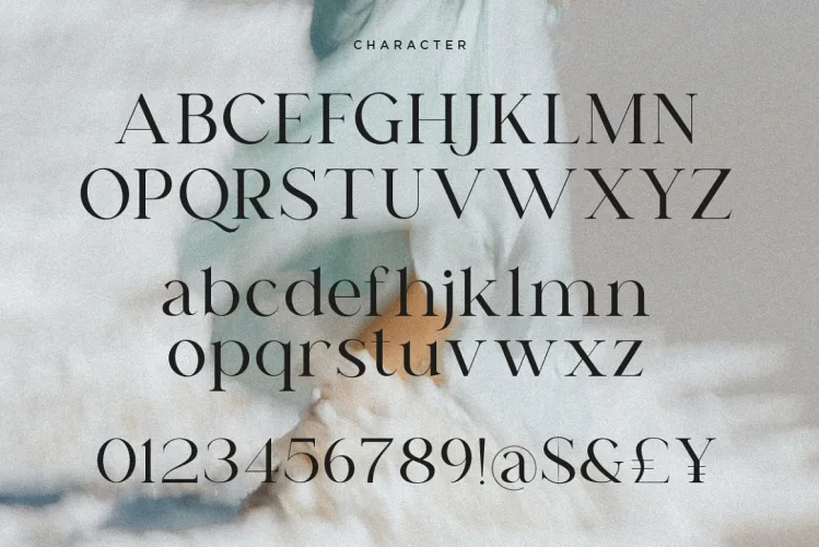 Cary – Classy Serif Font preview 4 – Serif Fonts font sample