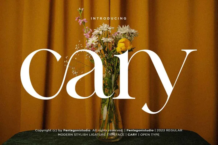Cary – Classy Serif Font preview 5 – Serif Fonts font sample
