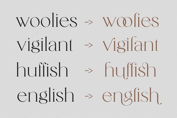 Catalina Village Font free download preview 4 – Serif Fonts font