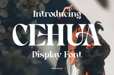 Cehua Font free download – Display Fonts font preview