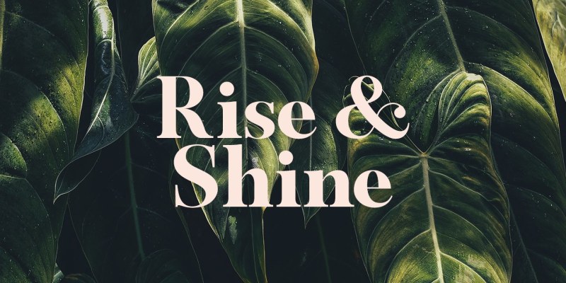 Celesse Font free download preview 9 – Serif Fonts font