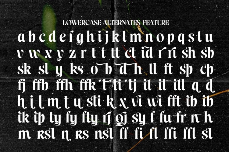 Celion Font free download preview 6 – Display Fonts font