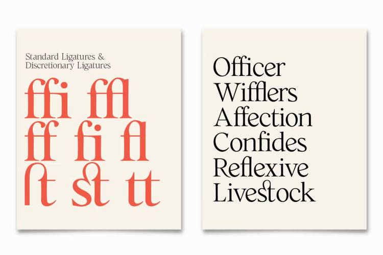 Cita Pro Font free download preview 2 – Serif Fonts font