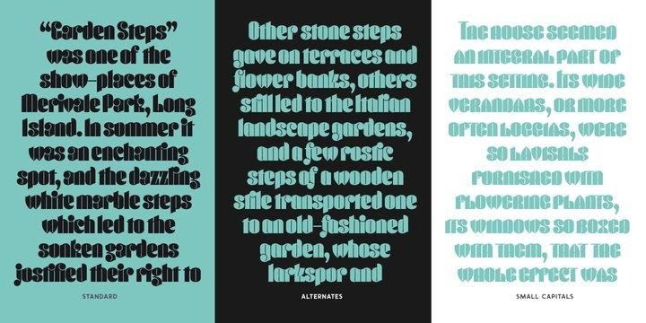 Conica Font free download preview 4 – Typeface font