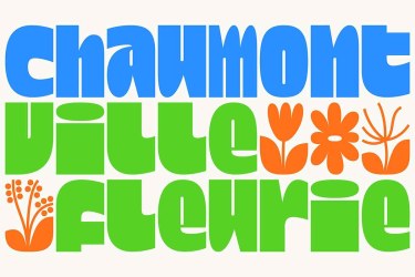 Dina Chaumont Font Family free download – Font Family font preview