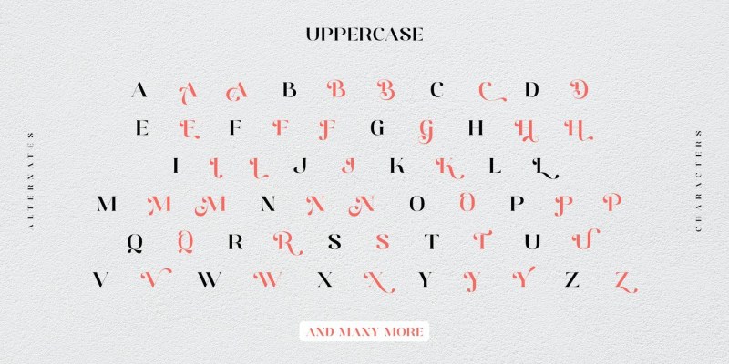 Distrela Font free download preview 6 – Serif Fonts font