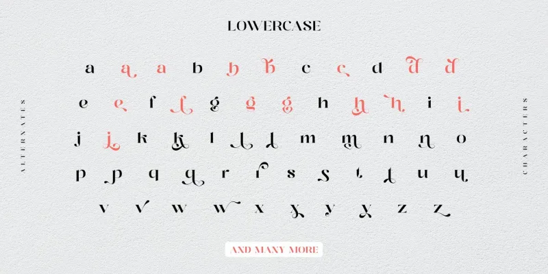 Distrela Font free download preview 7 – Serif Fonts font